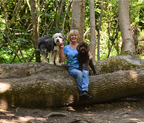 owner sitting on log with two dogs in forest.